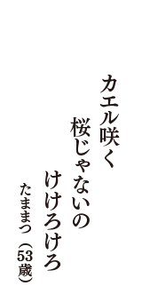 カエル咲く　桜じゃないの　けけろけろ　（たままつ　53歳）