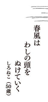 春風は　わしの頭を　ぬけていく　（しろねこ　50歳）