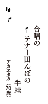 合唱の　テナー田んぼの　牛蛙　（アカエタカ　70歳）