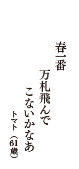 春一番　万札飛んで　こないかなあ　（トマト　61歳）