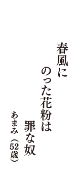 春風に　のった花粉は　罪な奴　（あまみ　52歳）