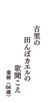 古里の　田んぼカエルの　歌聞こえ　（蒲柳　66歳）