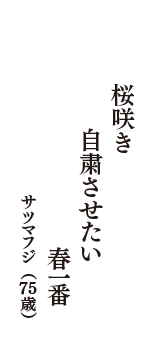 桜咲き　自粛させたい　春一番　（サツマフジ　75歳）