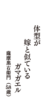 体型が　嫁と似ている　ガマガエル　（薩摩黒右衛門　58歳）