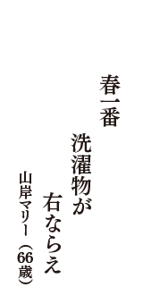 春一番　洗濯物が　右ならえ　　　（山岸マリー　66歳）