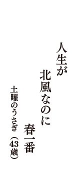 人生が　北風なのに　春一番　（土曜のうさぎ　43歳）