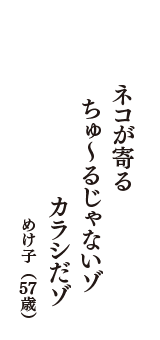 ネコが寄る　ちゅ～るじゃないゾ　カラシだゾ　（めけ子　57歳）