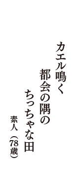 カエル鳴く　都会の隅の　ちっちゃな田　（素人　78歳）