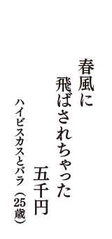 春風に　飛ばされちゃった　五千円　（ハイビスカスとバラ　25歳）