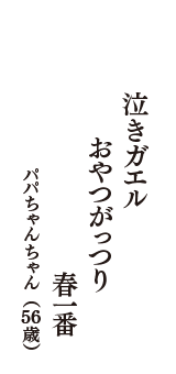 泣きガエル　おやつがっつり　春一番　（パパちゃんちゃん　56歳）