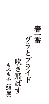 春一番　ヅラとプライド　吹き飛ばす　（もふもふ　58歳）