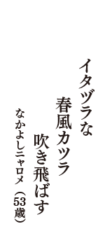 イタヅラな　春風カツラ　吹き飛ばす　（なかよしニャロメ　53歳）
