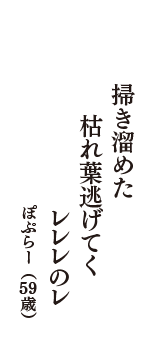 掃き溜めた　枯れ葉逃げてく　レレレのレ　（ぽぷらー　59歳）