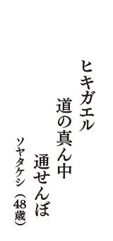 ヒキガエル　道の真ん中　通せんぼ　（ソヤタケシ　48歳）