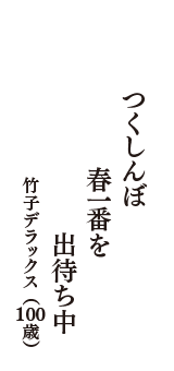 つくしんぼ　春一番を　出待ち中　（竹子デラックス　100歳）