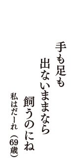 手も足も　出ないままなら　飼うのにね　（私はだーれ　69歳）