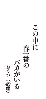 この中に　春一番の　バカがいる　（おやつ　49歳）