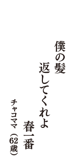 僕の髪　返してくれよ　春一番　（チャコママ　62歳）