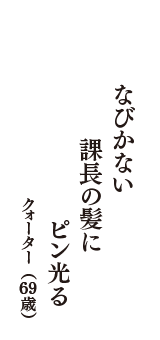 なびかない　課長の髪に　ピン光る　（クォーター　69歳）