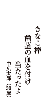 きなこ棒　歯茎の血を付け　当たったよ　（中広太郎　39歳）