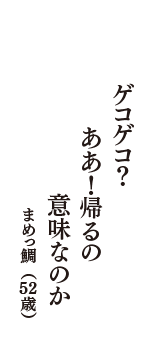 ゲコゲコ？　ああ！帰るの　意味なのか　（まめっ鯛　52歳）