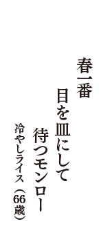 春一番　目を皿にして　待つモンロー　（冷やしライス　66歳）