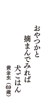 おやつかと　摘まんでみれば　犬ごはん　（黄金虫　69歳）