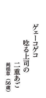 ゲェーコゲコ　唸る上司の　二重あご　（鈍根草　56歳）