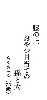 膝の上　おやつ目当ての　孫と犬　（らくちゃん　75歳）