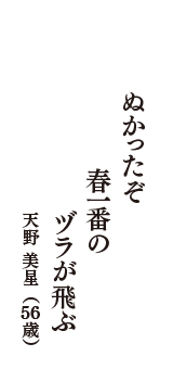 ぬかったぞ　春一番の　ヅラが飛ぶ　（天野 美星　56歳）