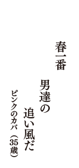 春一番　男達の　追い風だ　（ピンクのカバ　35歳）