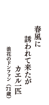 春風に　誘われて来たが　カエル一匹　（浪花のドンファン　71歳）