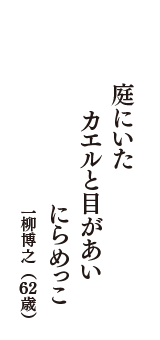 庭にいた　カエルと目があい　にらめっこ　（一柳博之　62歳）