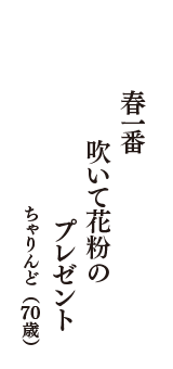 春一番　吹いて花粉の　プレゼント　（ちゃりんど　70歳）