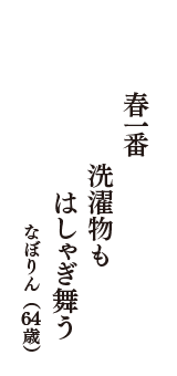 春一番　洗濯物も　はしゃぎ舞う　（なぼりん　64歳）