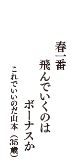 春一番　飛んでいくのは　ボーナスか　（これでいいのだ山本　35歳）