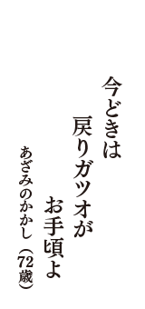 今どきは　戻りガツオが　お手頃よ　（あざみのかかし　72歳）