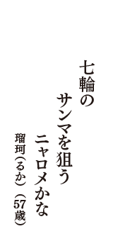 七輪の　サンマを狙う　ニャロメかな　（瑠珂（るか）　57歳）