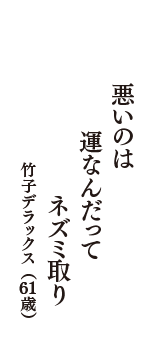 悪いのは　運なんだって　ネズミ取り　（竹子デラックス　61歳）