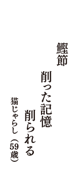 鰹節　削った記憶　削られる　（猫じゃらし　59歳）