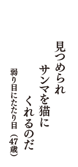 見つめられ　サンマを猫に　くれるのだ　（弱り目にたたり目　47歳）