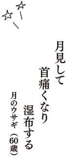 月見して　首痛くなり　湿布する　（月のウサギ　60歳）