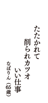 たたかれて　削られカツオ　いい仕事　（なぼりん　65歳）