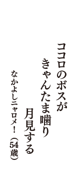 ココロのボスが　きゃんたま噛り　月見する　（なかよしニャロメ!　54歳）