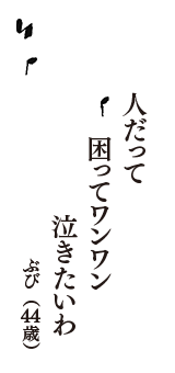 人だって　困ってワンワン　泣きたいわ　（ぶび　44歳）