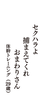 セクハラよ　捕まえてくれ　おまわりさん　（体幹トレーニング　29歳）