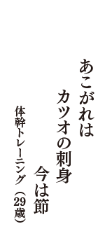 あこがれは　カツオの刺身　今は節　（体幹トレーニング　29歳）