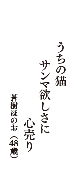 うちの猫　サンマ欲しさに　心売り　（蒼樹ほのお　48歳）