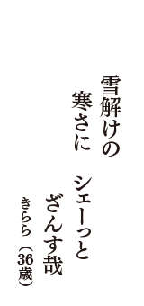 雪解けの　寒さに　シェーっと　ざんす哉　（きらら　36歳）