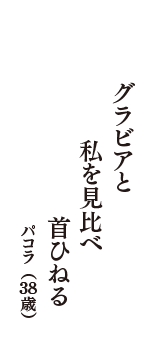 グラビアと　私を見比べ　首ひねる　（パコラ　38歳）